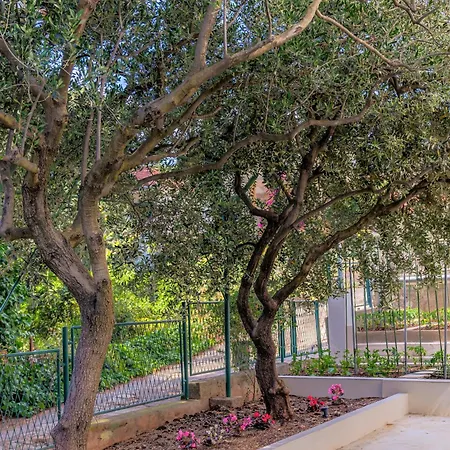 דירה 7 Olives Luxury *